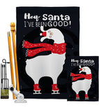 I've Been Good - Christmas Winter Vertical Impressions Decorative Flags HG137314 Made In USA